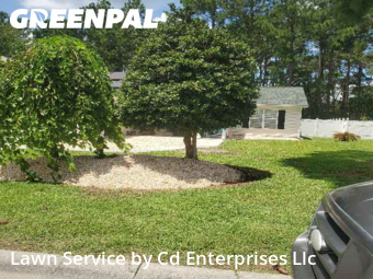 Grass Cutting nearby Conway, SC, 