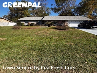 Lawn Mowing nearby Ocala, FL, 