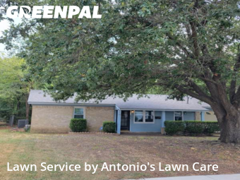 Lawn Cutin Euless,76039,Lawn Cutting by Antonio's Lawn Care, work completed in Dec , 2025