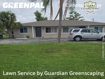 Backyard Landscaping In Cape Coral,33904,Landscaping Installation by Guardian Greenscaping, work completed in Jul , 2026
