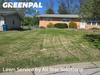 Lawn Cut nearby St. Louis, IL, 