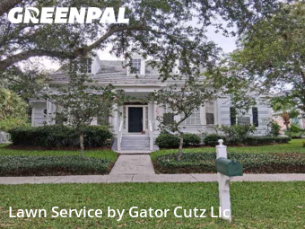 Yard Grooming in Celebration, 34747, Yard Maintenance by Gator Cutz Llc , work completed in Oct , 2025