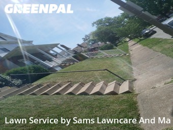 Grass Cutting nearby St. Louis, IL, 