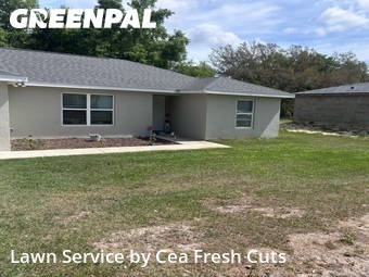 Grass Cut nearby Ocala, FL, 