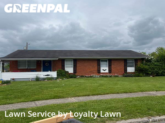 Grass Cut nearby Lexington, KY, 