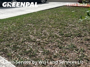 Lawn Mowing Service nearby San Antonio, TX, 