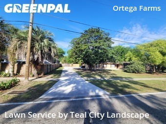 Lawn Maintenance nearby Jacksonville, FL, 