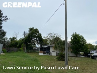 Lawn Cut nearby Port Richey, FL, 