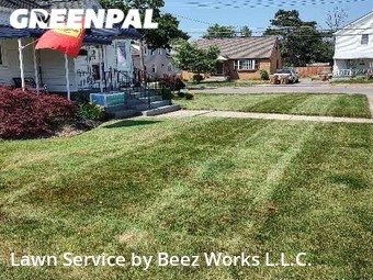 Grass Cut nearby Cheektowaga, NY, 