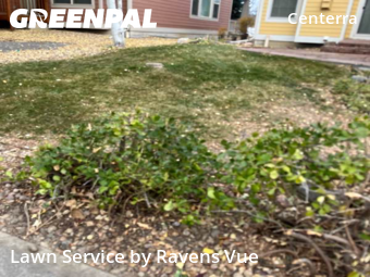 Lawn Work in Loveland, 80538, Mowing Services by Ravens Vue, work completed in Nov , 2025