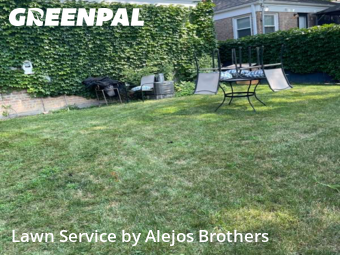 Lawn Maintenancein Evanston,60202,Grass Cutting by Alejos Brothers, work completed in Jul , 2026