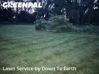 Grass Cutting nearby Bay City, MI, 