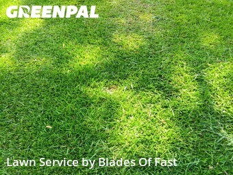 Lawn Care Service nearby East Point, GA, 