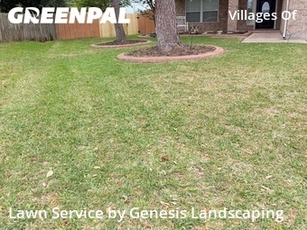 Grass Cut nearby Katy, TX, 