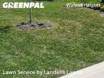 Grass Cutting nearby Columbus, OH, 