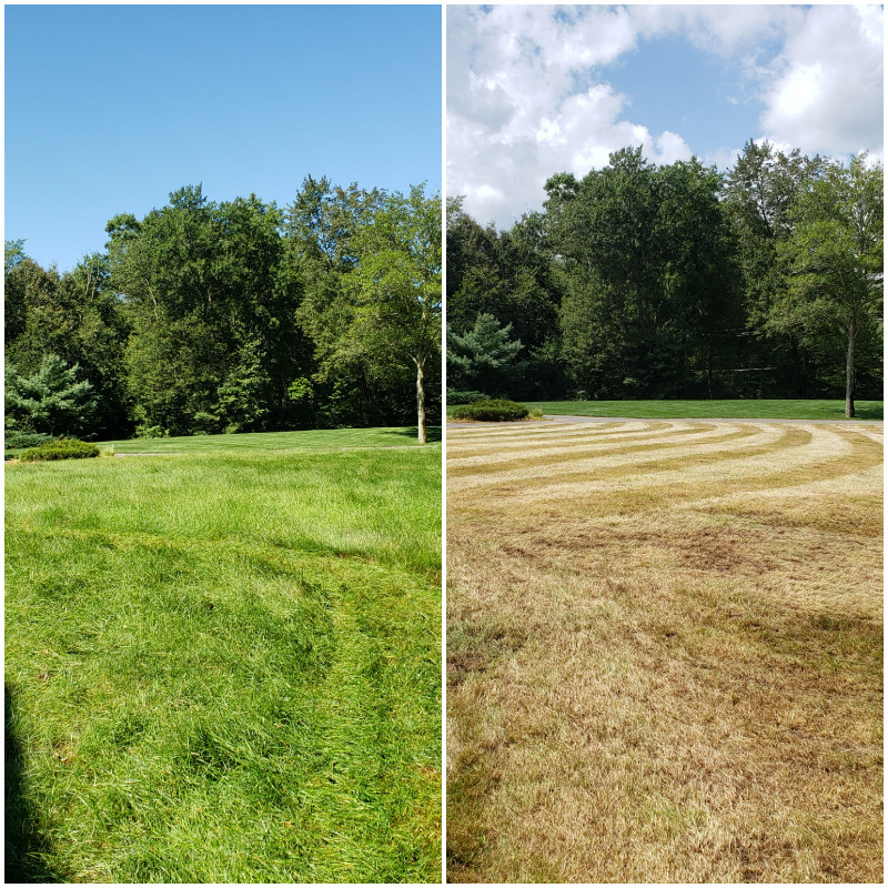 Dancing Bones Farm Lawn Care Services in Ashby, MA