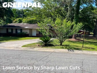 Lawn Mow nearby Perry, GA, 
