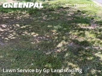Grass Cutting nearby Charlotte, NC, 