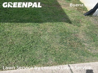 Lawn Cut nearby Nashville, TN, 