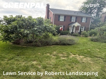 Grass Cut nearby Arlington, VA, 