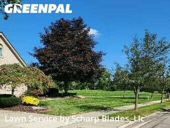 Yard Cutting nearby Canton, MI, 