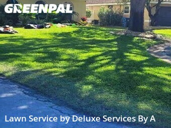 Grass Cut nearby Coral Springs, FL, 