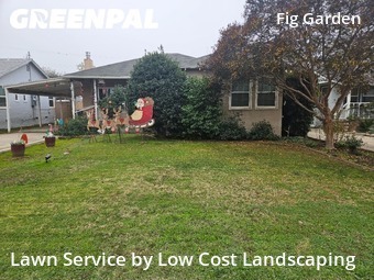 Work completed by yard-maintenance-professionals-in-Fresno-CA