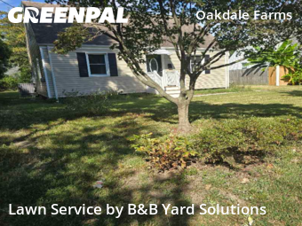 Grass Cutting nearby Norfolk, VA, 