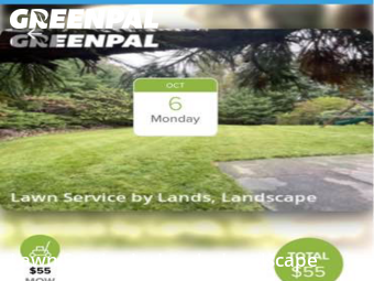 Lawn Maintenancein Roanoke,24018,Lawn Mow by Lands, Landscape, work completed in Jan , 2026