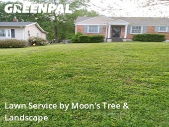 Grass Cut nearby Nashville, TN, 