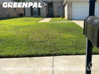 Yard Management in Pearl, 39208, Yard Care Services by Better Dash Group Llc, work completed in Oct , 2025