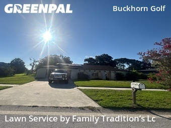 Lawn Mowing nearby Valrico, FL, 