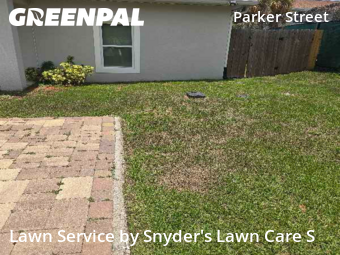 Yard Cutting nearby Lakeland, FL, 