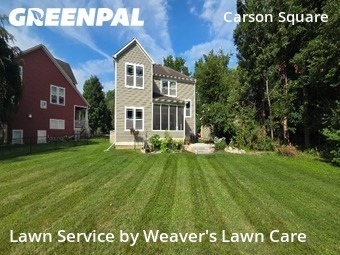 Yard Cutting nearby Indianapolis, IN, 