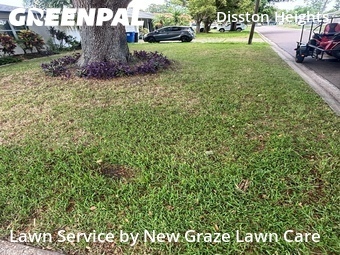 Lawn Care Service nearby St. Petersburg, FL, 