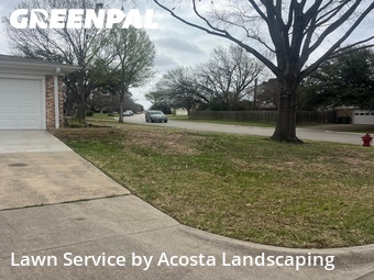 Grass Cut nearby North Richland Hills, TX, 