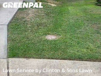 Lawn Cutting nearby San Antonio, TX, 