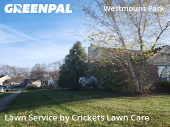 Lawn Cutting nearby Indianapolis, IN, 