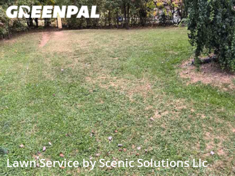 Yard Mowing nearby Baltimore, MD, 