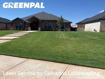 Yard Cutting nearby Lubbock, TX, 