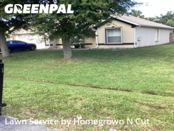 Grass Cut nearby Port St. Lucie, FL, 