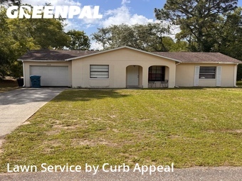Yard Cutting nearby Spring Hill, FL, 