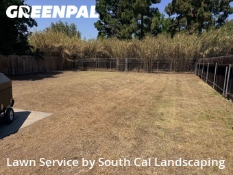 Grass Cut nearby Lemon Grove, CA, 