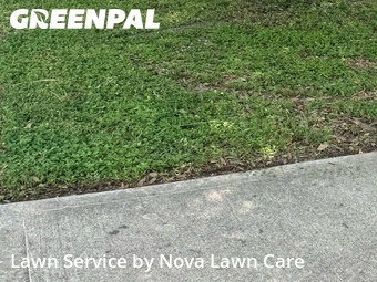 Yard Mowing nearby Hutto, TX, 