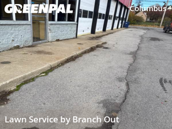 Local Lawn And Landscape Maintenance Services Near Me In Buffalo,14201,Landscaping Services by Branch Out, work completed in Nov , 2025