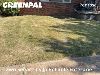 Lawn Maintenance nearby St. Louis, IL, 