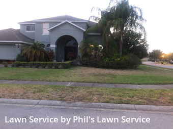 Lawn Cut nearby Ocoee, FL, 