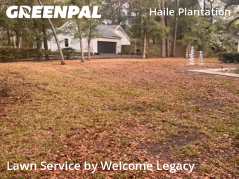 Lawn mowed in Gainesville, 32608