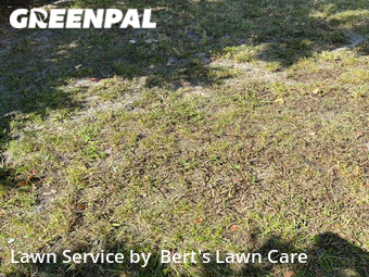 Lawn Cutting nearby North Miami, FL, 