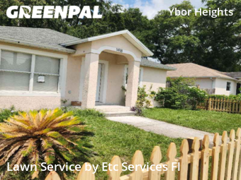 Lawn Cutting nearby Tampa, FL, 